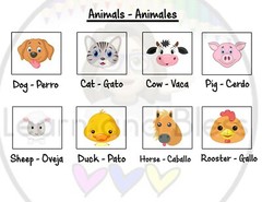 Learning Binder Kids 1 to 6 years / Carpeta de Aprendizaje niños 1 a 6 años