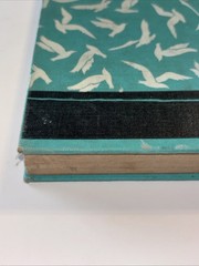 WIDE WINGS BY GATES, HUBER, PEARDON 1939 THE MACMILLAN COMPANY Vtg Antique VG