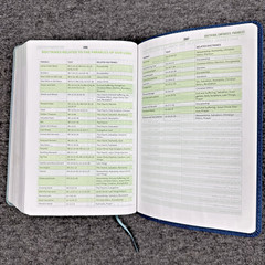 Christian Standard CSB Disciple’s Study Bible Navy/Mist LeatherTouch Holman HTF