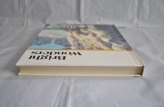 Bright Wonders Economy Reading Series 1986 Lv. K 3-2 Matteoni Sucher Klein Welch
