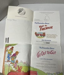 Vintage 29 Lot Berenstain Bears Paperback Books by Stan & Jan, He Bear She Bear