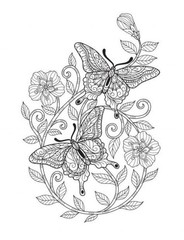 Color the Butterflies Coloring book 108 Pages 8.5 x 11 for All Ages