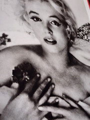 The Marilyn Monroe Treasures by Jenna Glatzer Hardcover 175 Pages Artifacts Book