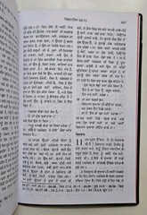 Punjabi New Testament Bible Vinyl Cover Bible Society Of India *NEW* 2009