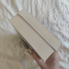 The Neapolitan Novels box set by Elena Ferrante(Europa Editions,trade paperback)
