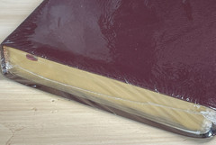 The Promise Holy Bible Study Edition 3595BG CEV Burgandy Bonded Leather New