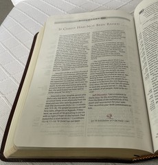 THE KNOWING JESUS STUDY BIBLE. NIB. Burgundy Leather. Free Shipping.