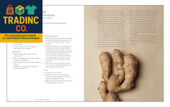 The Five Elements Cookbook: a Guide to Traditional Chinese Medicine with Recipes