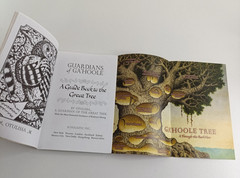 Guardians of Ga’Hoole Kathryn Lasky Bulk Lot 1 3 4 5 7 8 9 12 13 14 + Guide Book