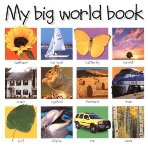 My Big World Book (My Big Board Books) – Board book By Priddy, Roger – GOOD