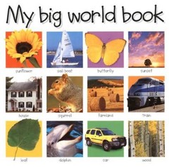 My Big World Book (My Big Board Books) – Board book By Priddy, Roger – GOOD