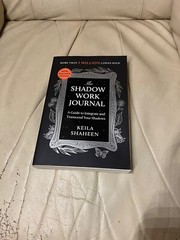 The Shadow Work Journal: A Guide to Integrate and Transcend (New) Work Book