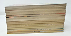 Lot of 16 VTG Bailey School PB Books #1-3; 6-8, 10, 12, 18, 25-26, 29-31, 33, 35