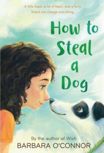 How to Steal a Dog: A Novel – Paperback By O’Connor, Barbara – GOOD