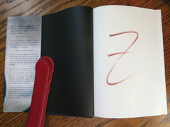SIGNED by Mark Z. Danielewski | Tom’s Crossing | Scarce True 1st Printing