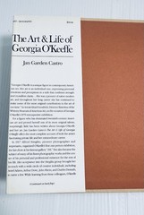 Georgia O Keeffe Art and Life Castro Book with 136 Color Illustrations Edition