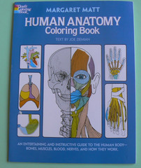 Dover HUMAN ANATOMY Coloring Book,Ziemian/Matt, ALL CLEAN! 44-pages