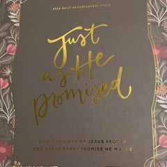 The Daily Grace Co. Just as He Promised 2024 Advent Bible Study Guide PB