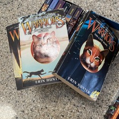 Warriors Erin Hunter Lot 40 Books Complete Sets Super Editions 1st Edition DIRTY