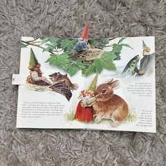 The Pop-Up Book Of Gnomes With Animals, 1983 Illustrated 1st Ed. Abrams Uniebock