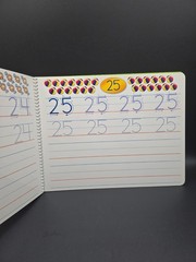 Set of 3 Lakeshore Printing Numbers ,Upper &Lower Case Letters Practice Books