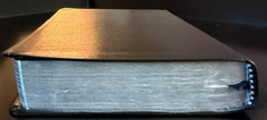NIV Student Bible Revised Compact Edition (Leather, 2002)