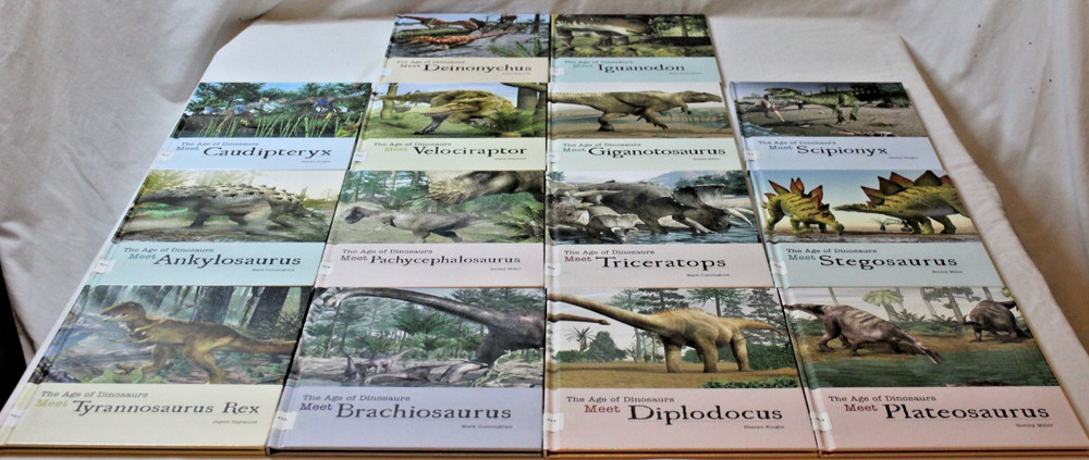 Lot 14 Library Bound Hardcover The Age of Dinosaurs Books