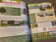 Fine Gardening Magazine -Spring 2026 Issue-Smart Ways to Refresh a Mature Garden