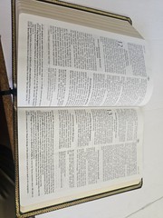 Thomas Nelson The Open Bible Genuine Leather Red Letter Edition Hardcover