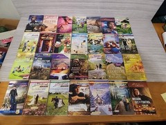 Lot of 28 Assorted Paperback Books, Novels Mixed Genres/Authors/Titles