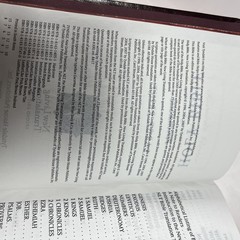 Holy Bible New Living Translation Tyndale Red Letter Personal Size LARGE PRINT