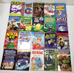 3rd Grade Chapter Books For Boys Lot of 20 Teacher Classroom Homeschool Library