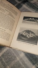 1916 Nyal Cook Book by Janet McKenzie Hill Boston Cooking School Illustrated