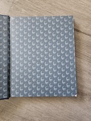 Legendary Kingdoms Pirates Of Splintered Isles – Hardcover Book 3 First Edition