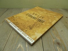 Final Fantasy XI 11 Atlas Brady Games Guide Ed Kern 2005 Good Condition
