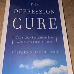 2 BOOK LOT The Mindful Way Through Depression Cure ILARDI Jon Kabat-zinn