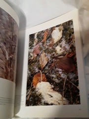 Portraits of Earth Softcover by Freeman Patterson Nice.
