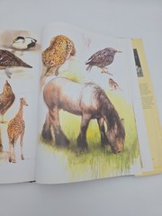 NOAH’S ARK Animal Art by Rien Poortvliet Netherlands 1986