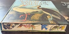 Audobon Birds of America Arcturus Publishing