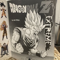 2002 Dragonball Z Extreme Paperback J. O’Hare Paperback w/Glow in Dark Stickers