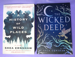 Lot of Fantasy/Horror: Silvia Moreno-Garcia/Shea Ernshaw/Erin Morgenstern 7 TPBs