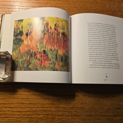 The Tree by John Fowles HC in Slipcase Photos By William Neill 1994 Nature Co.
