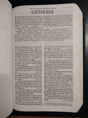 The Holy Bible Prophecy Study Edition. Nelson. 2008. Genuine Leather (8.5″ x 6″)
