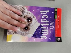 Animal Antics First Grade Reader Box Set: Scholastic Box or Slipcased