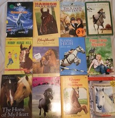 Lot 60+ Vintage to Now Children’s Chapter Books On Horses Saddle Club More Read
