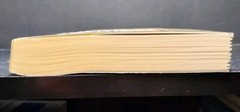 What She Left Behind by Ellen Marie Wiseman (2013, Trade PB) Historical Fiction
