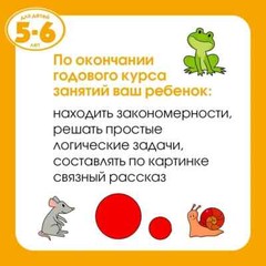 Грамотейка. Интеллектуальное развитие детей 5-6 лет Земцова