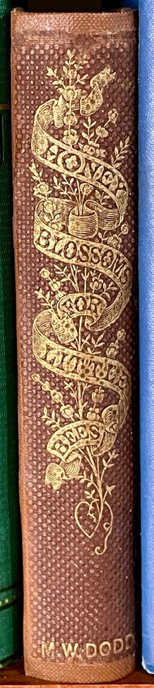 Honey Blossoms for Little Bees 1859 Victorian Decorative Binding Antique 1st Ed