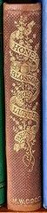 Honey Blossoms for Little Bees 1859 Victorian Decorative Binding Antique 1st Ed