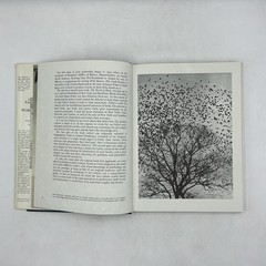 James Fisher & Roger Tory Peterson’s WORLD OF BIRDS Revised HC Cream DJ 192